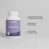 BERBERINE 1200 MG – SOUTIEN DE LA GLYCÉMIE