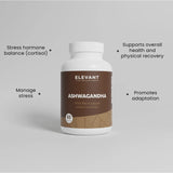 ASHWAGANDHA 650 MG | x3