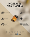 OPTIMA NMN 250 MG | x3