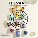 VITAL MAX – MULTI VITAMINES IMMUNITÉ